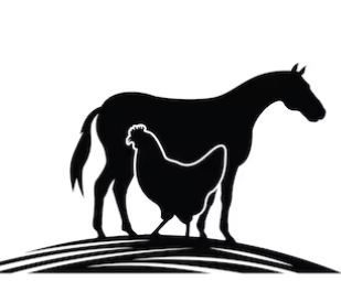 Chicken Pakapoo ticket sales for Tumbarumbah endurance | SurveyPlanet